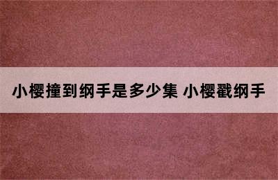 小樱撞到纲手是多少集 小樱戳纲手